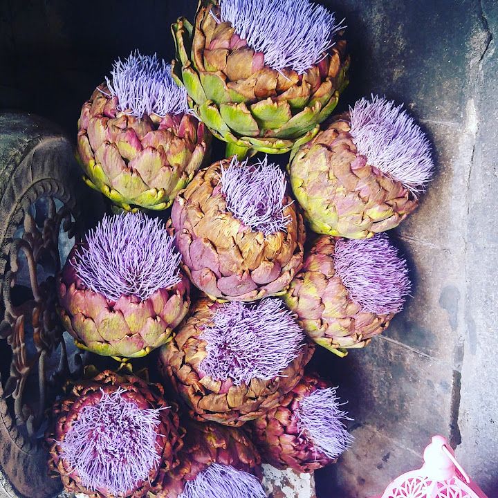 Fotoğraf 16