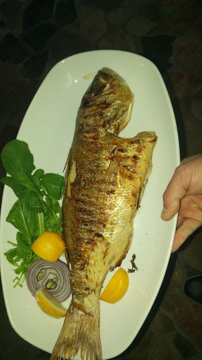 Fotoğraf 19