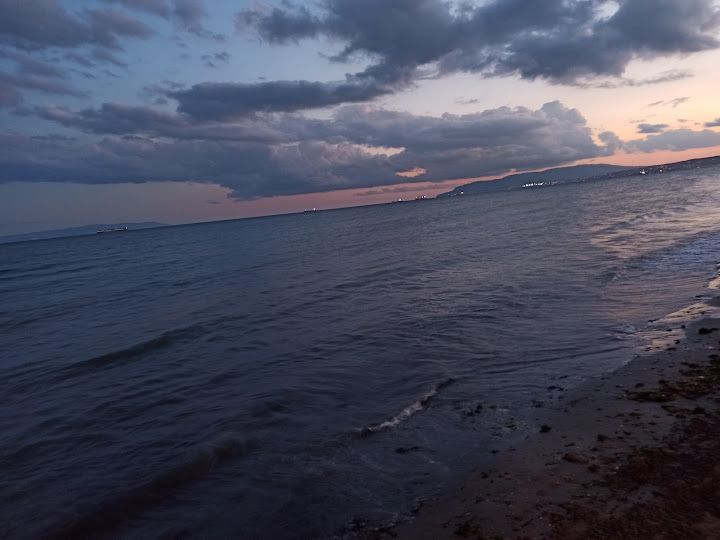 Fotoğraf 54