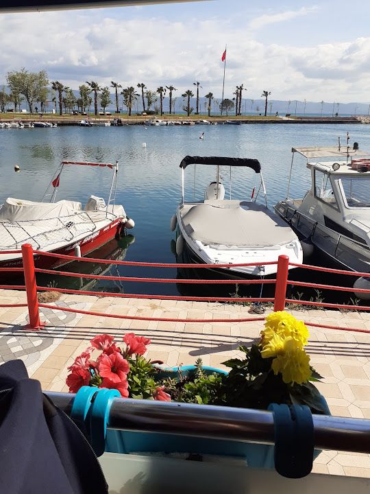 Fotoğraf 48