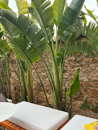 Fotoğraf 39