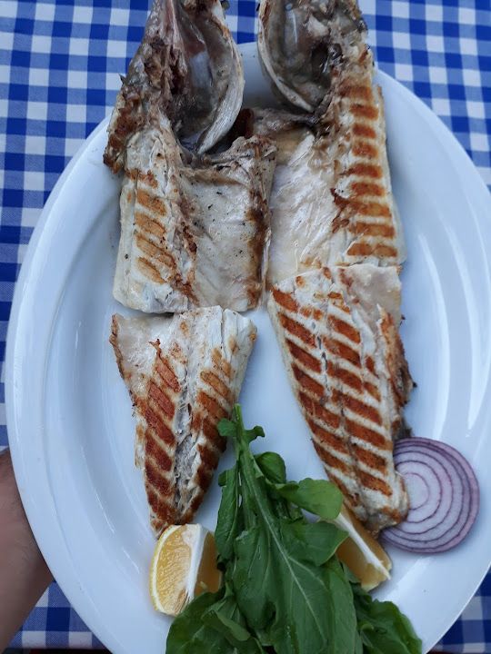 Fotoğraf 42