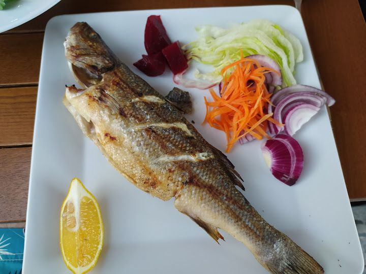 Fotoğraf 20