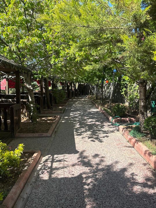 Fotoğraf 25