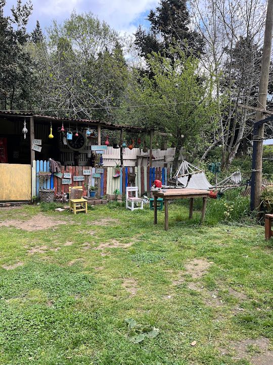 Yorum fotoğrafı 4