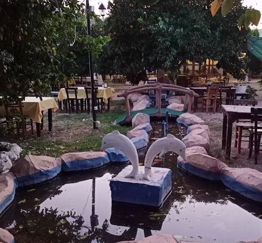 Yorum fotoğrafı 6