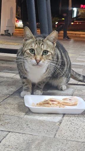 Fotoğraf 19