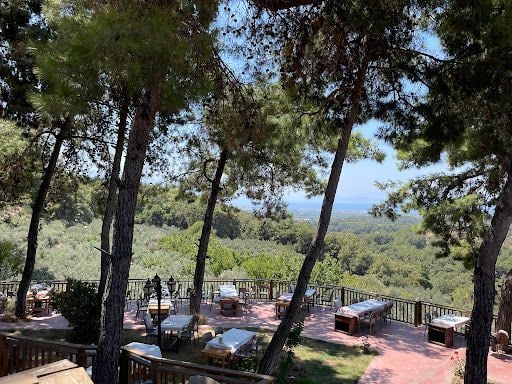 Fotoğraf 12