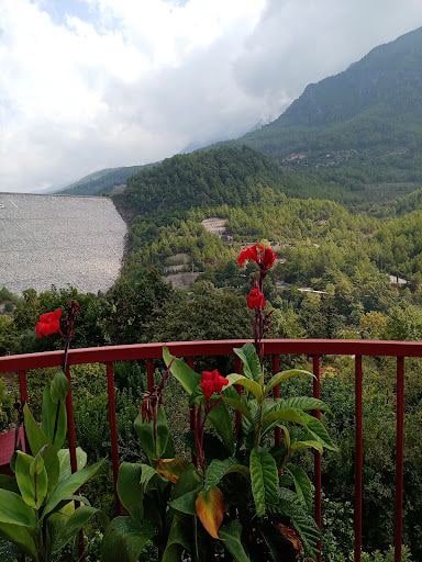 Yorum fotoğrafı 3