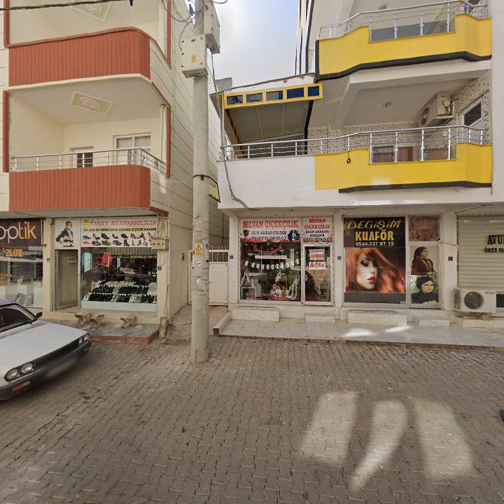 Fotoğraf 7