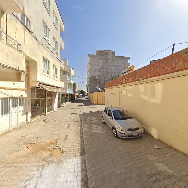Fotoğraf 6
