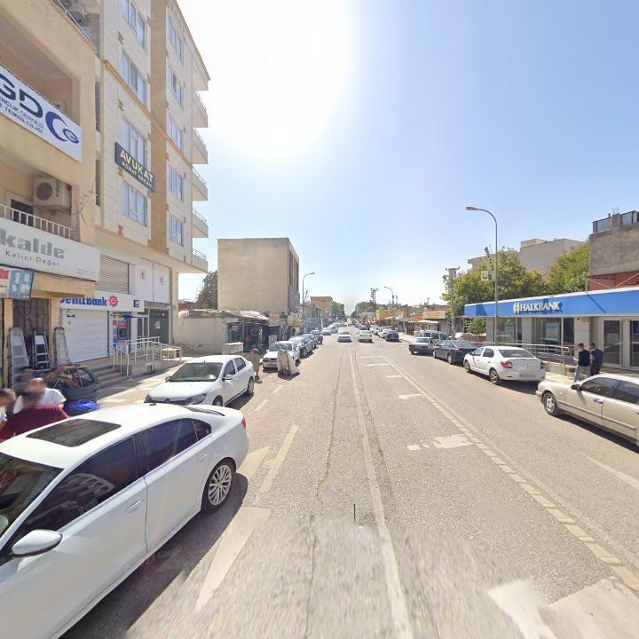 Fotoğraf 7