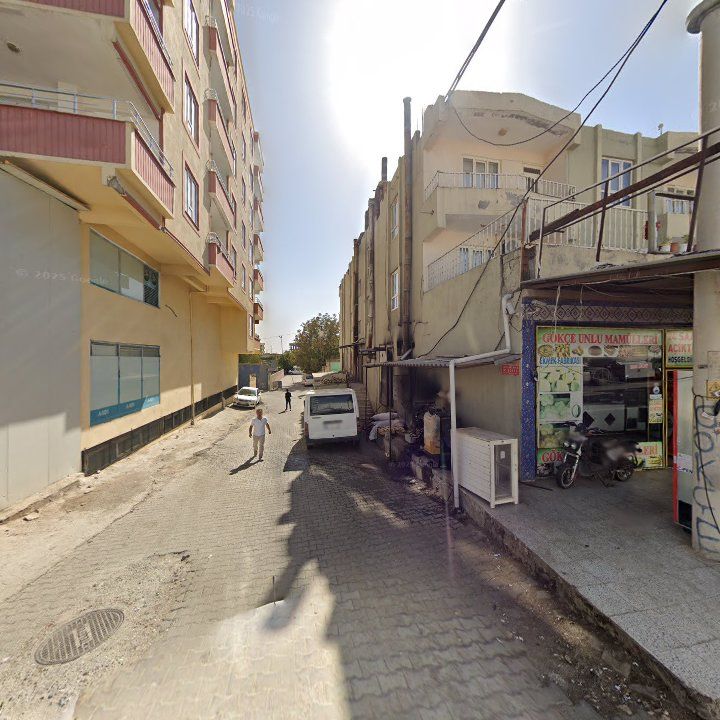 Fotoğraf 9