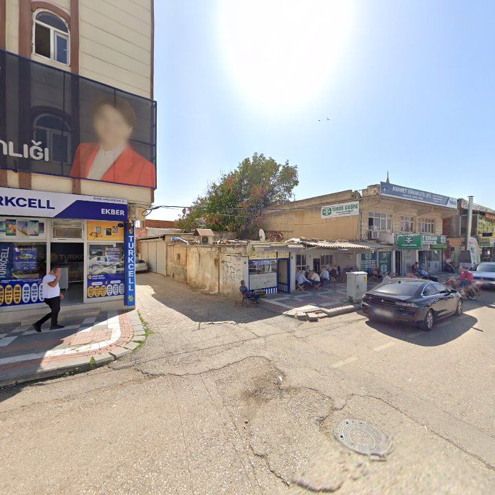 Fotoğraf 7