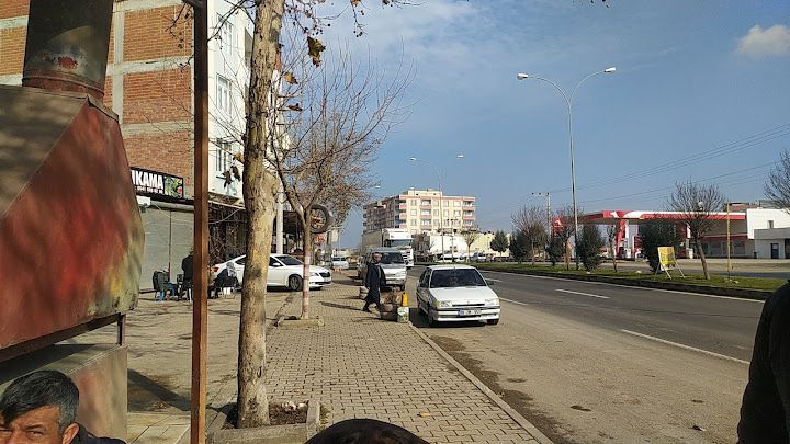 Kısmet Ciğer