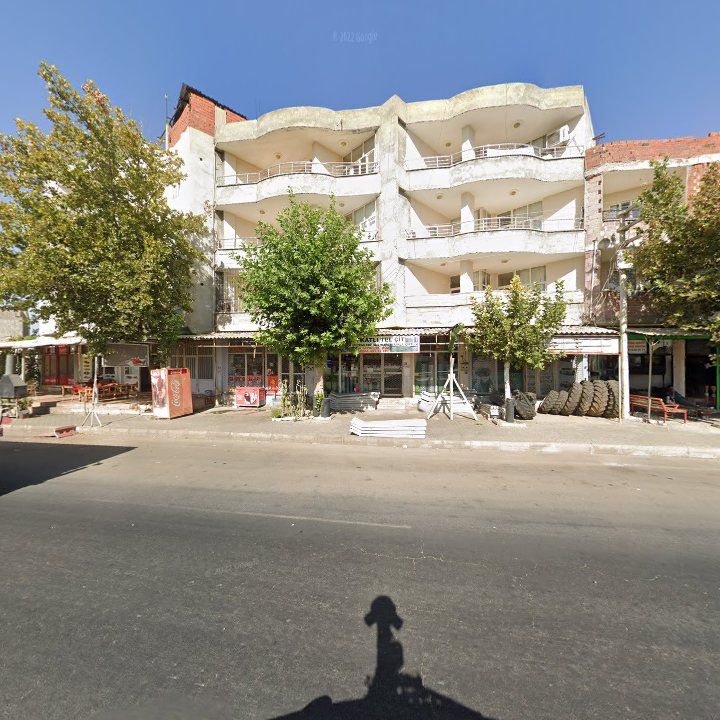 Fotoğraf 6