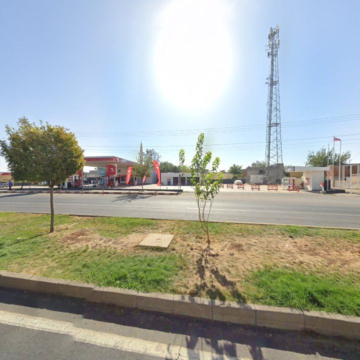 Fotoğraf 8