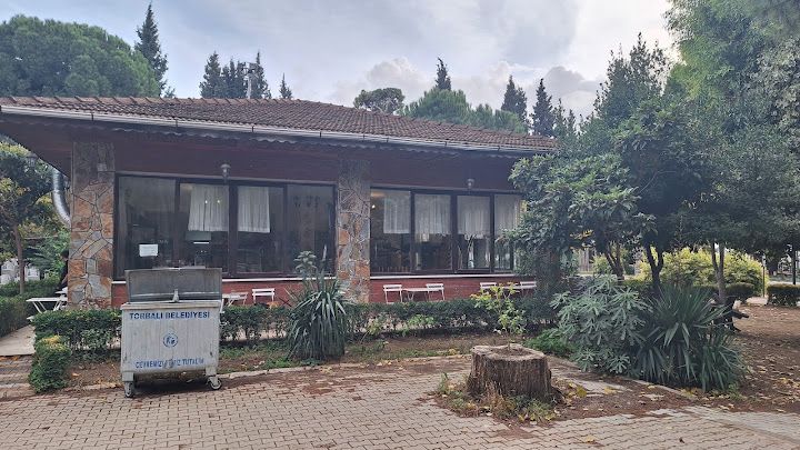 Yorum fotoğrafı 3