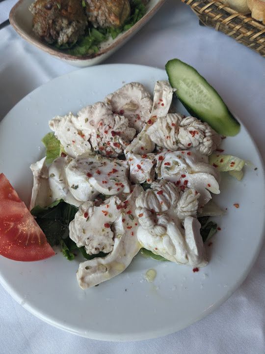 Fotoğraf 27