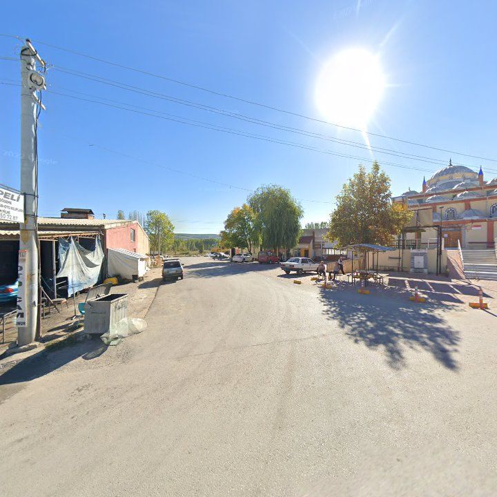 Fotoğraf 3