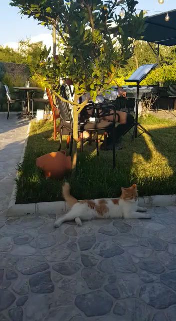 Fotoğraf 42
