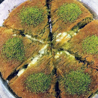 Fotoğraf 46