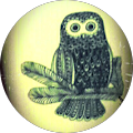 Hkn Syg
