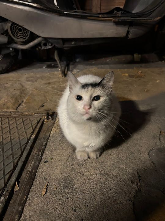 Yorum fotoğrafı 3