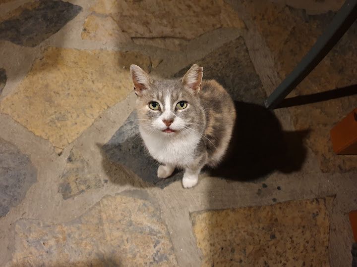 Yorum fotoğrafı 2