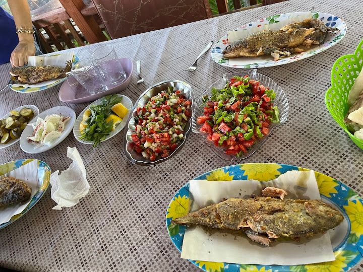 Fotoğraf 16
