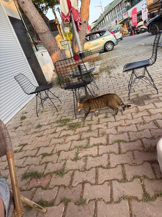 Yorum fotoğrafı 1
