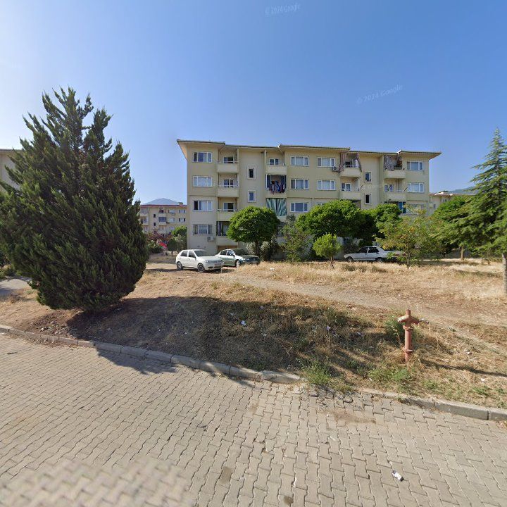 Fotoğraf 3