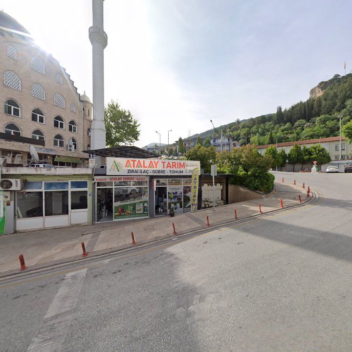 Fotoğraf 5