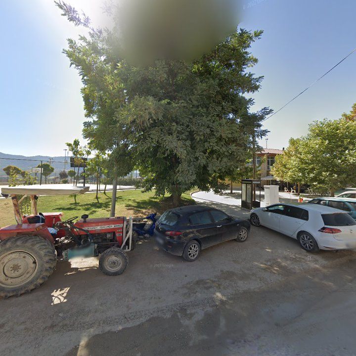 Fotoğraf 9