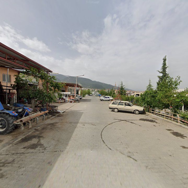 Fotoğraf 5
