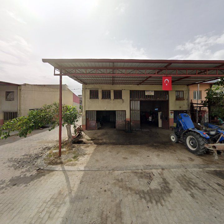 Fotoğraf 8