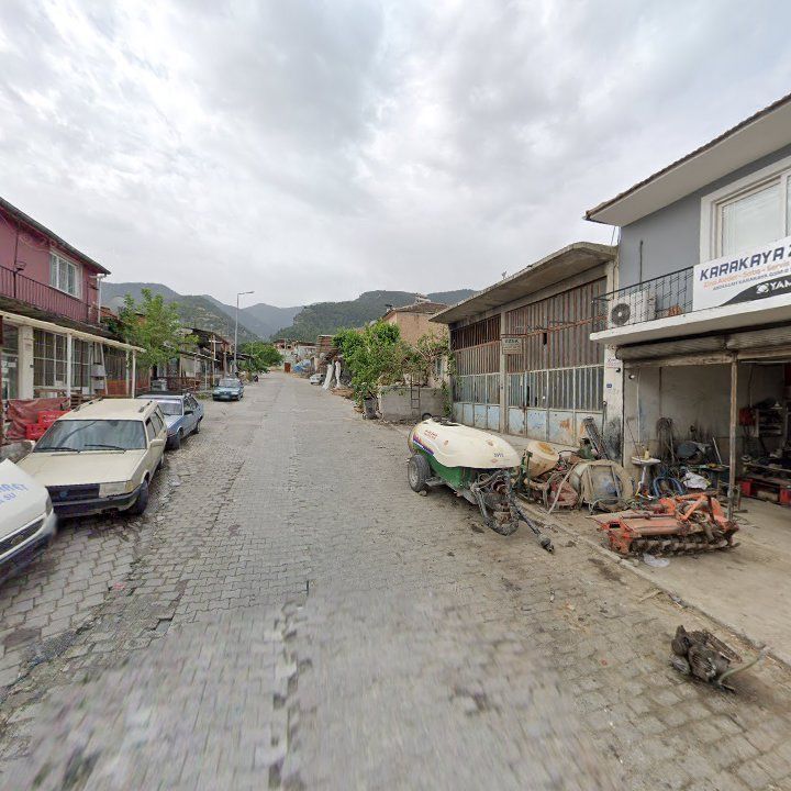 Fotoğraf 5