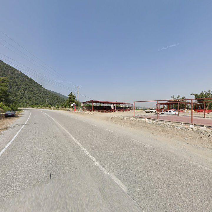 Fotoğraf 7