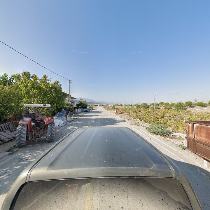 Fotoğraf 2