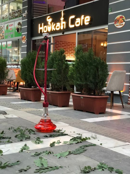 Fotoğraf 12
