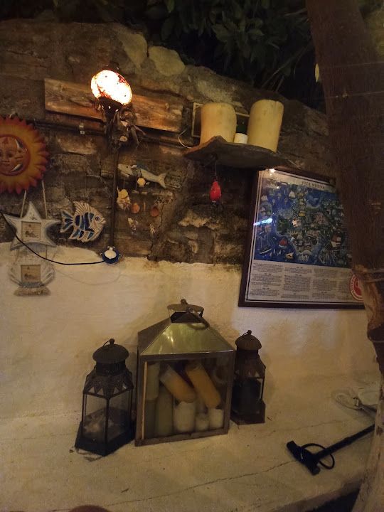 Fotoğraf 61