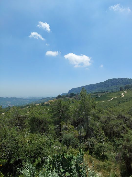 Yorum fotoğrafı 3