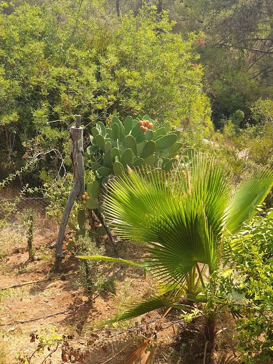 Yorum fotoğrafı 4
