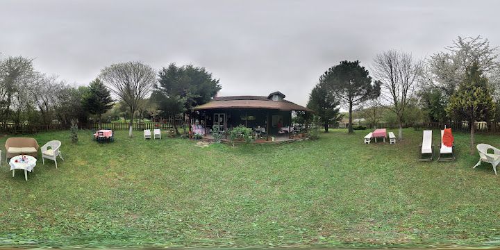 Fotoğraf 31