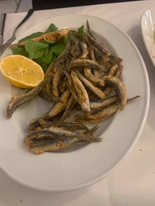Fotoğraf 19