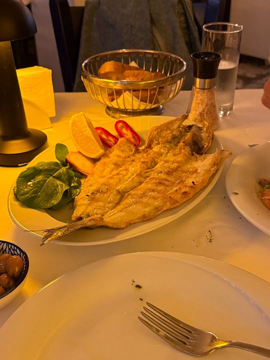 Fotoğraf 22