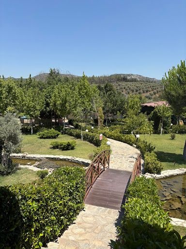 Fotoğraf 21