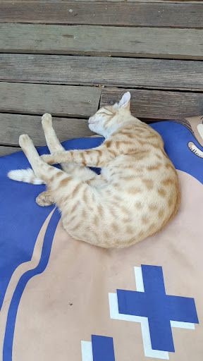 Fotoğraf 20