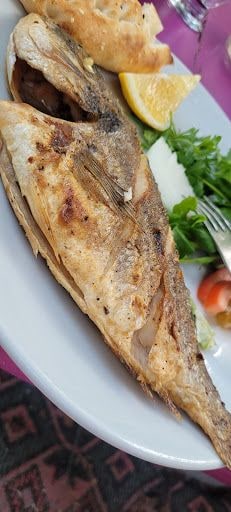Fotoğraf 24