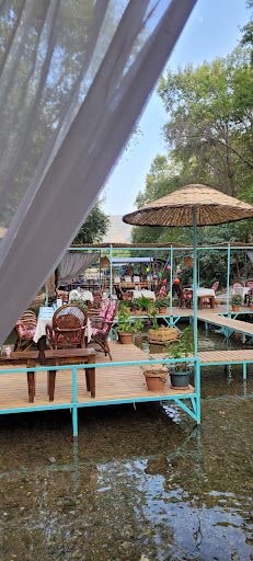 Fotoğraf 27